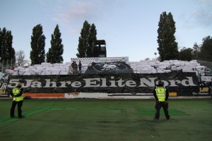 Wiener Neustadt - Sturm Graz