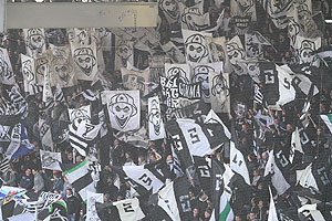 Sturm Graz - Groedig