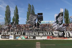 Wr. Neustadt - Sturm Graz