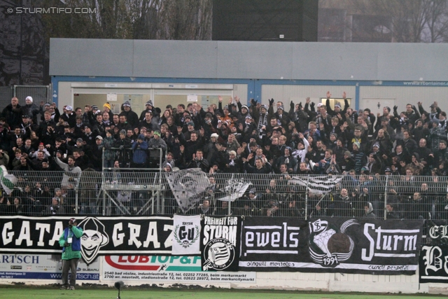 Wr. Neustadt - Sturm Graz
Oesterreichische Fussball Bundesliga, 15. Runde,  SC Wiener Neustadt - SK Sturm Graz, Stadion Wiener Neustadt, 19.11.2011. 

Foto zeigt Fans von Sturm
