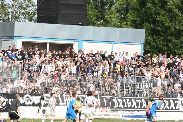 Wr. Neustadt - Sturm Graz
Oesterreichische Fussball Bundesliga, 33. Runde,  SC Wiener Neustadt - SK Sturm Graz, Stadion Wiener Neustadt, 05.05.2012. 

Foto zeigt Fans von Sturm
