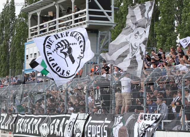 Wr. Neustadt - Sturm Graz
Oesterreichische Fussball Bundesliga, 33. Runde,  SC Wiener Neustadt - SK Sturm Graz, Stadion Wiener Neustadt, 05.05.2012. 

Foto zeigt Fans von Sturm
