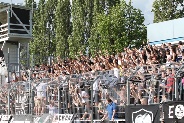 Wr. Neustadt - Sturm Graz
Oesterreichische Fussball Bundesliga, 33. Runde,  SC Wiener Neustadt - SK Sturm Graz, Stadion Wiener Neustadt, 05.05.2012. 

Foto zeigt Fans von Sturm
