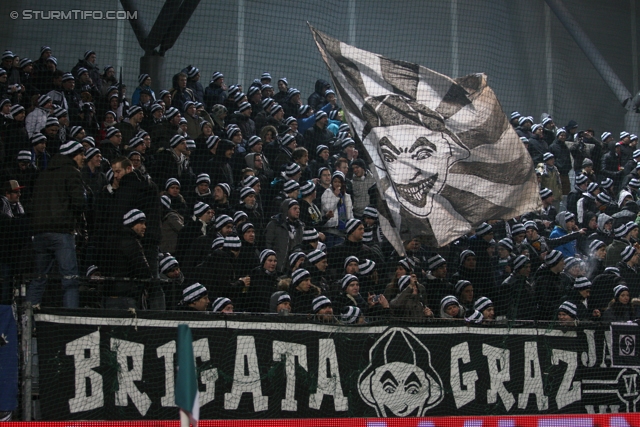 Rapid Wien - Sturm Graz
Oesterreichische Fussball Bundesliga, 23. Runde, SK Rapid Wien - SK Sturm Graz, Gerhard Hanappi Stadion Wien, 23.02.2013. 

Foto zeigt Fans von Sturm
