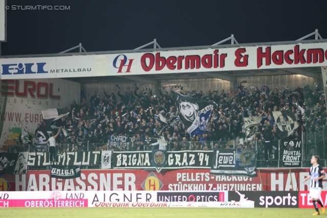 Ried - Sturm Graz
Oesterreichische Fussball Bundesliga, 25. Runde, SV Ried- SK Sturm Graz, Arena Ried, 09.03.2013. 

Foto zeigt Fans von Sturm
