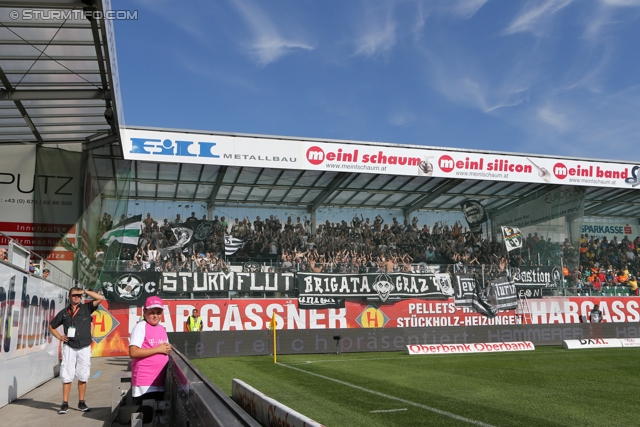 Ried - Sturm Graz
Oesterreichische Fussball Bundesliga, 6. Runde, SV Ried - SK Sturm Graz, Arena Ried, 24.08.2013. 

Foto zeigt Fans von Sturm
