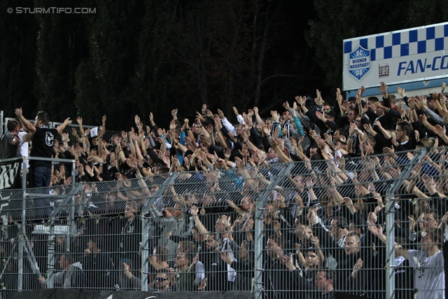 Wiener Neustadt - Sturm Graz
Oesterreichische Fussball Bundesliga, 8. Runde, SC Wiener Neustadt - SK Sturm Graz, Stadion Wiener Neustadt, 14.09.2013. 

Foto zeigt Fans von Sturm
