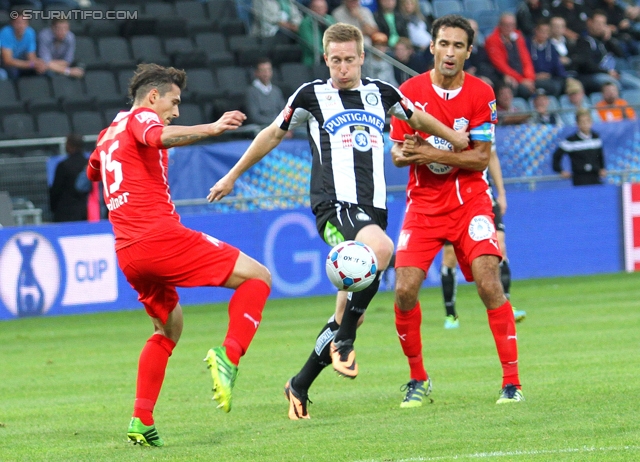 Sturm Graz - Wiener Neustadt
OEFB Cup, 2. Runde, SK Sturm Graz - SC Wiener Neustadt, Stadion Liebenau Graz, 25.09.2013. 

Foto zeigt Manuel Wallner (Wr. Neustadt), Robert Beric (Sturm) und Peter Hlinka (Wr. Neustadt)
