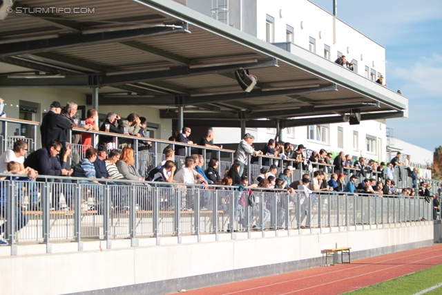 Sturm Graz - Domzale
Testspiel,  SK Sturm Graz - NK Domzale, Trainingszentrum Messendorf, 15.10.2013. 

Foto zeigt Fans von Sturm
