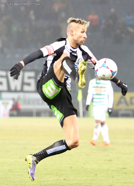 Sturm Graz - Rapid Wien
Oesterreichische Fussball Bundesliga, 21. Runde, SK Sturm Graz - SK Rapid Wien, Stadion Liebenau Graz, 18.12.2013. 

Foto zeigt Patrick Wolf (Sturm)
