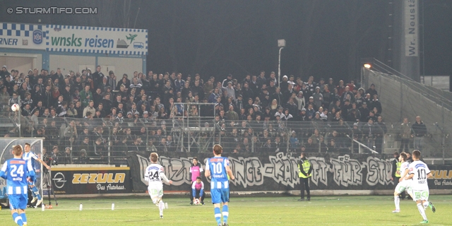 Wiener Neustadt - Sturm Graz
Oesterreichische Fussball Bundesliga, 25. Runde, SC Wiener Neustadt - SK Sturm Graz, Stadion Wiener Neustadt, 08.03.2014. 

Foto zeigt Fans von Sturm
