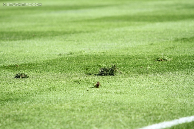 Sturm Graz - Wiener Neustadt
Oesterreichische Fussball Bundesliga, 35. Runde, SK Sturm Graz - SC Wiener Neustadt, Stadion Liebenau Graz, 04.05.2014. 

Foto zeigt den Rasen
