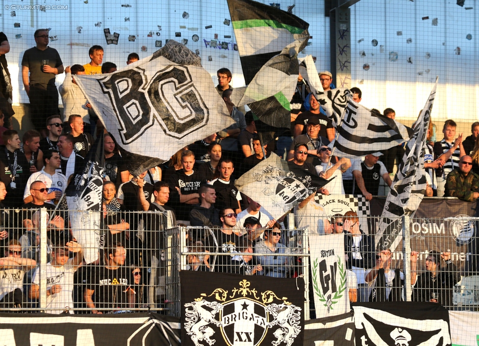 Ried - Sturm Graz
Oesterreichische Fussball Bundesliga, 9. Runde, SV Ried - SK Sturm Graz, Arena Ried, 20.09.2014. 

Foto zeigt Fans von Sturm
