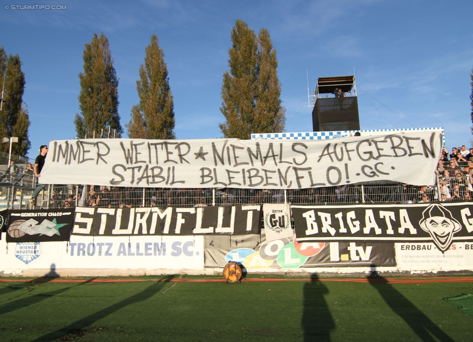 Wiener Neustadt - Sturm Graz
Oesterreichische Fussball Bundesliga, 12. Runde, SC Wiener Neustadt - SK Sturm Graz, Stadion Wiener Neustadt, 19.10.2014. 

Foto zeigt Fans von Sturm mit einem Spruchband
