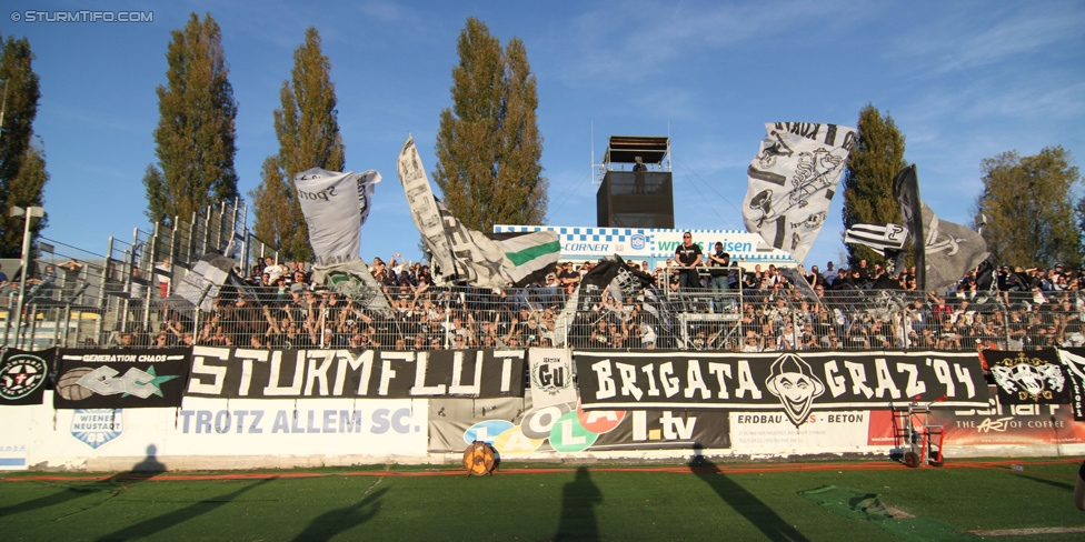 Wiener Neustadt - Sturm Graz
Oesterreichische Fussball Bundesliga, 12. Runde, SC Wiener Neustadt - SK Sturm Graz, Stadion Wiener Neustadt, 19.10.2014. 

Foto zeigt Fans von Sturm
