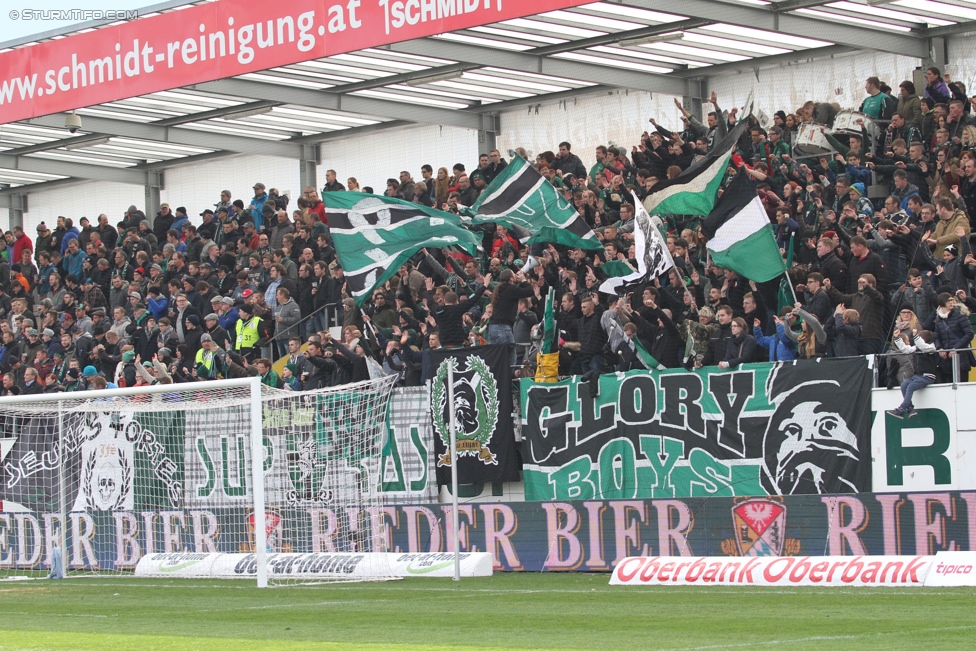 Ried - Sturm Graz
Oesterreichische Fussball Bundesliga, 27. Runde, SV Ried - SK Sturm Graz, Arena Ried, 05.04.2015. 

Foto zeigt Fans von Ried
