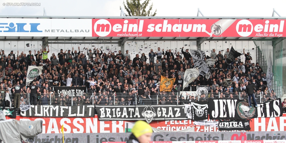 Ried - Sturm Graz
Oesterreichische Fussball Bundesliga, 27. Runde, SV Ried - SK Sturm Graz, Arena Ried, 05.04.2015. 

Foto zeigt Fans von Sturm

