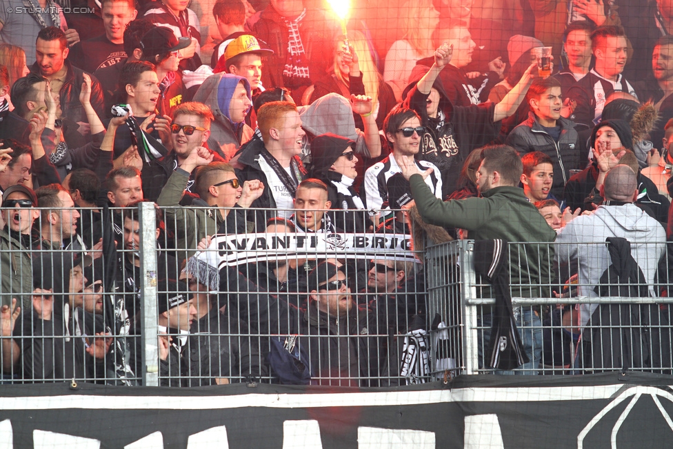 Ried - Sturm Graz
Oesterreichische Fussball Bundesliga, 27. Runde, SV Ried - SK Sturm Graz, Arena Ried, 05.04.2015. 

Foto zeigt Fans von Sturm
Schlüsselwörter: pyrotechnik