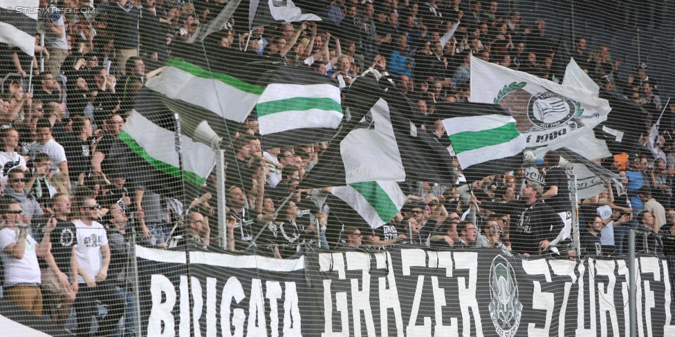 Sturm Graz - Altach
Oesterreichische Fussball Bundesliga, 28. Runde, SK Sturm Graz - SCR Altach, Stadion Liebenau Graz, 11.04.2015. 

Foto zeigt Fans von Sturm
