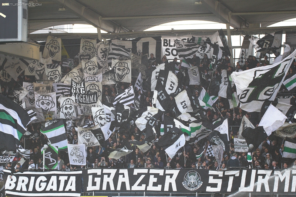 Sturm Graz - Groedig
Oesterreichische Fussball Bundesliga, 29. Runde, SK Sturm Graz - SV Groedig, Stadion Liebenau Graz, 18.04.2015. 

Foto zeigt Fans von Sturm
