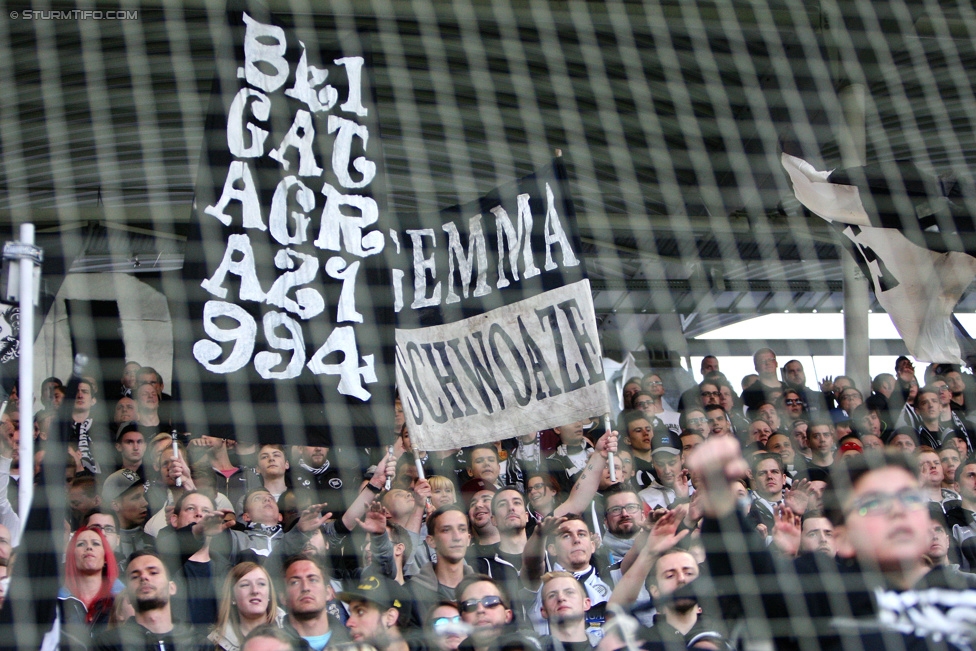 Sturm Graz - Groedig
Oesterreichische Fussball Bundesliga, 29. Runde, SK Sturm Graz - SV Groedig, Stadion Liebenau Graz, 18.04.2015. 

Foto zeigt Fans von Sturm
