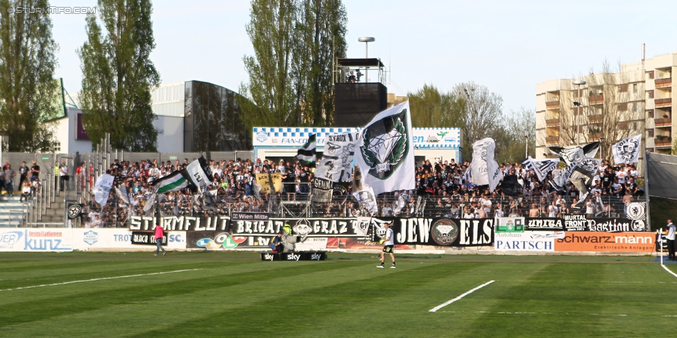 Wr. Neustadt - Sturm Graz
Oesterreichische Fussball Bundesliga, 30. Runde, SC Wiener Neustadt - SK Sturm Graz, Stadion Wiener Neustadt, 25.04.2015. 

Foto zeigt Fans von Sturm
