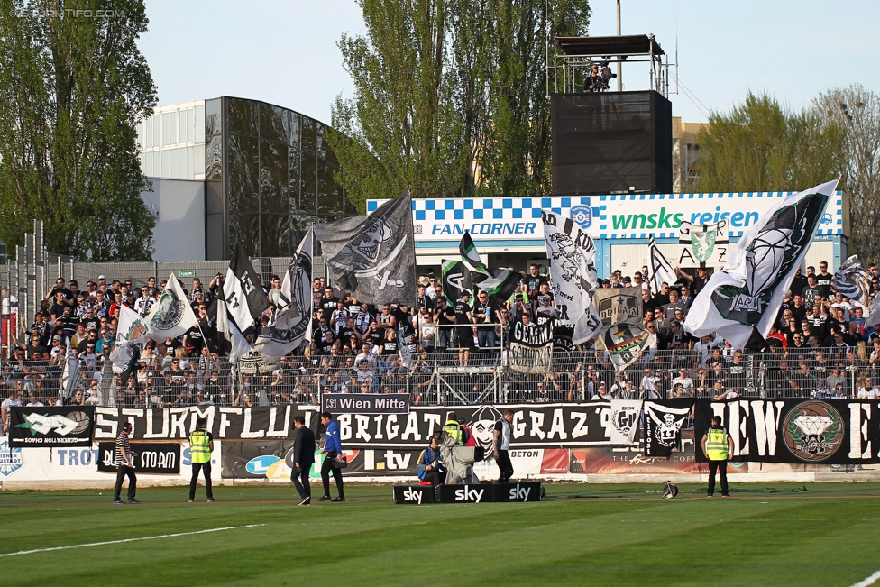 Wr. Neustadt - Sturm Graz
Oesterreichische Fussball Bundesliga, 30. Runde, SC Wiener Neustadt - SK Sturm Graz, Stadion Wiener Neustadt, 25.04.2015. 

Foto zeigt Fans von Sturm
