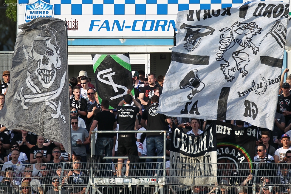 Wr. Neustadt - Sturm Graz
Oesterreichische Fussball Bundesliga, 30. Runde, SC Wiener Neustadt - SK Sturm Graz, Stadion Wiener Neustadt, 25.04.2015. 

Foto zeigt Fans von Sturm
