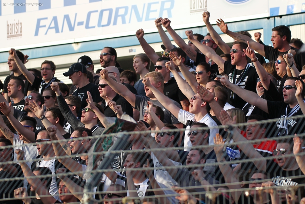 Wr. Neustadt - Sturm Graz
Oesterreichische Fussball Bundesliga, 30. Runde, SC Wiener Neustadt - SK Sturm Graz, Stadion Wiener Neustadt, 25.04.2015. 

Foto zeigt Fans von Sturm
