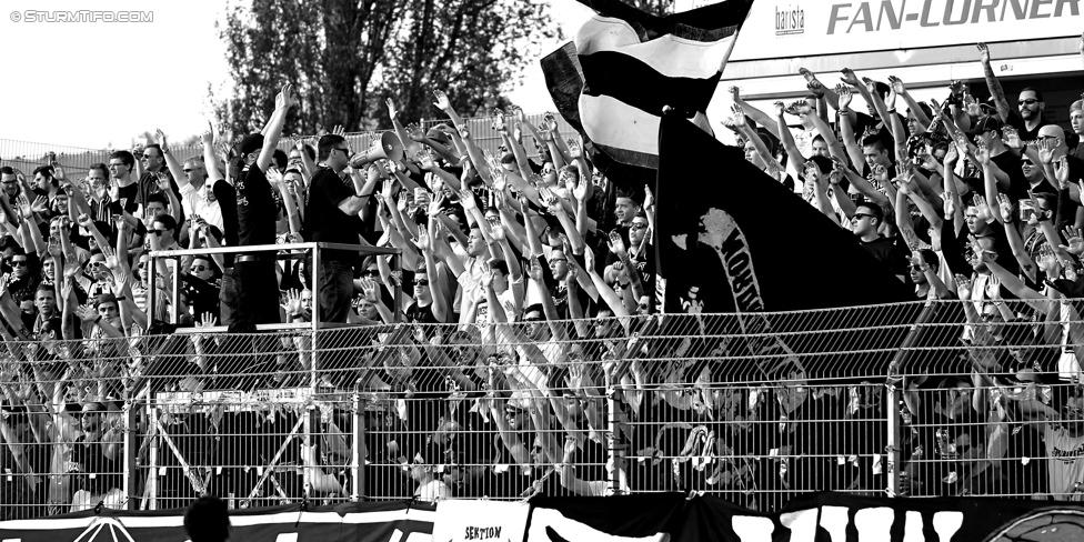 Wr. Neustadt - Sturm Graz
Oesterreichische Fussball Bundesliga, 30. Runde, SC Wiener Neustadt - SK Sturm Graz, Stadion Wiener Neustadt, 25.04.2015. 

Foto zeigt Fans von Sturm
