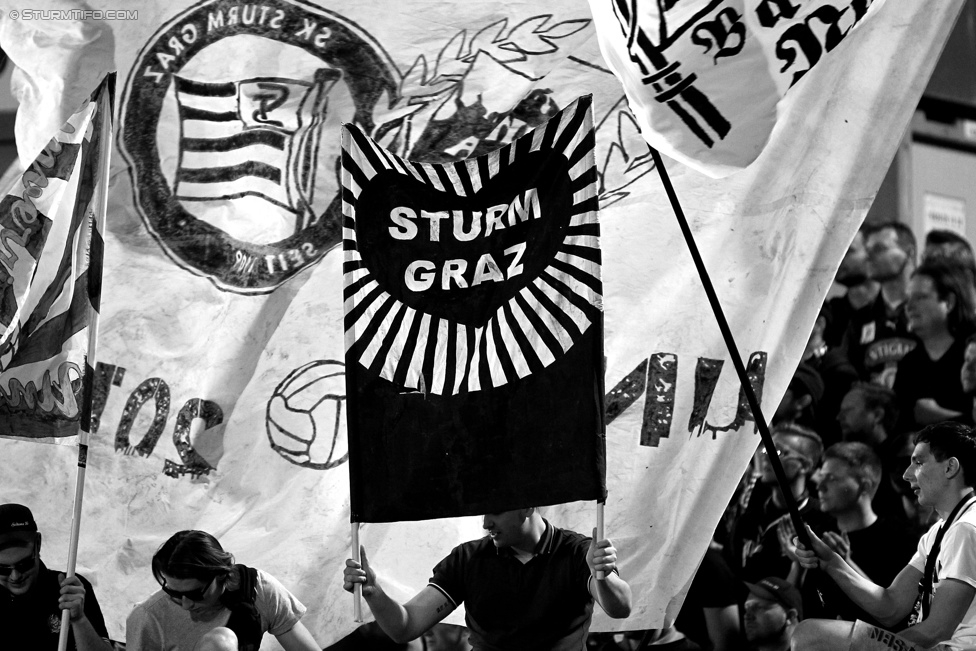 Wr. Neustadt - Sturm Graz
Oesterreichische Fussball Bundesliga, 30. Runde, SC Wiener Neustadt - SK Sturm Graz, Stadion Wiener Neustadt, 25.04.2015. 

Foto zeigt Fans von Sturm
