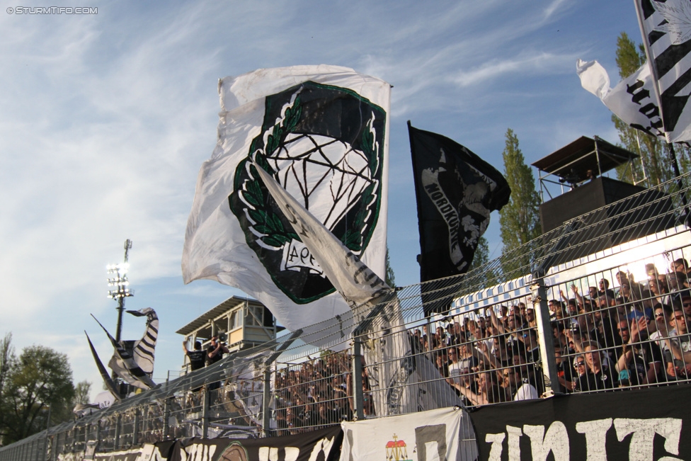 Wr. Neustadt - Sturm Graz
Oesterreichische Fussball Bundesliga, 30. Runde, SC Wiener Neustadt - SK Sturm Graz, Stadion Wiener Neustadt, 25.04.2015. 

Foto zeigt Fans von Sturm
