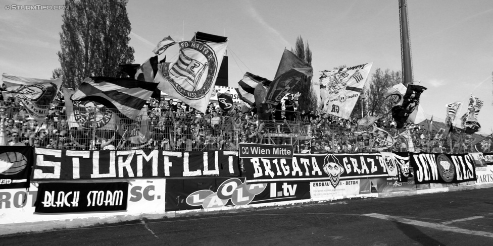 Wr. Neustadt - Sturm Graz
Oesterreichische Fussball Bundesliga, 30. Runde, SC Wiener Neustadt - SK Sturm Graz, Stadion Wiener Neustadt, 25.04.2015. 

Foto zeigt Fans von Sturm
