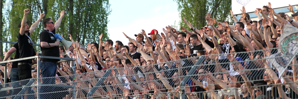 Wr. Neustadt - Sturm Graz
Oesterreichische Fussball Bundesliga, 30. Runde, SC Wiener Neustadt - SK Sturm Graz, Stadion Wiener Neustadt, 25.04.2015. 

Foto zeigt Fans von Sturm
