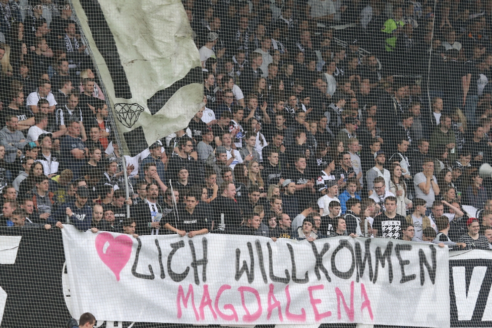 Sturm Graz - Rapid Wien
Oesterreichische Fussball Bundesliga, 31. Runde, SK Sturm Graz - SK Rapid Wien, Stadion Liebenau Graz, 03.05.2015. 

Foto zeigt Fans von Sturm mit einem Spruchband
