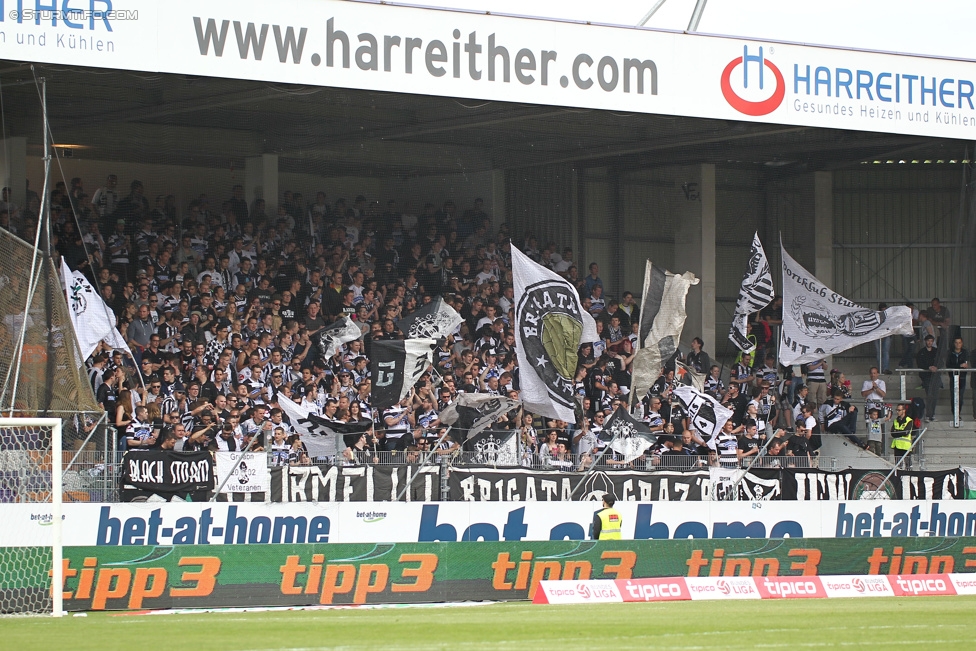 Austria Wien - Sturm Graz
Oesterreichische Fussball Bundesliga, 32. Runde, FK Austria Wien - SK Sturm Graz, Franz-Horr-Stadion Wien, 09.05.2015. 

Foto zeigt Fans von Sturm
