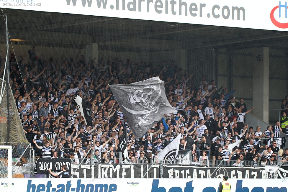 Austria Wien - Sturm Graz
Oesterreichische Fussball Bundesliga, 32. Runde, FK Austria Wien - SK Sturm Graz, Franz-Horr-Stadion Wien, 09.05.2015. 

Foto zeigt Fans von Sturm
