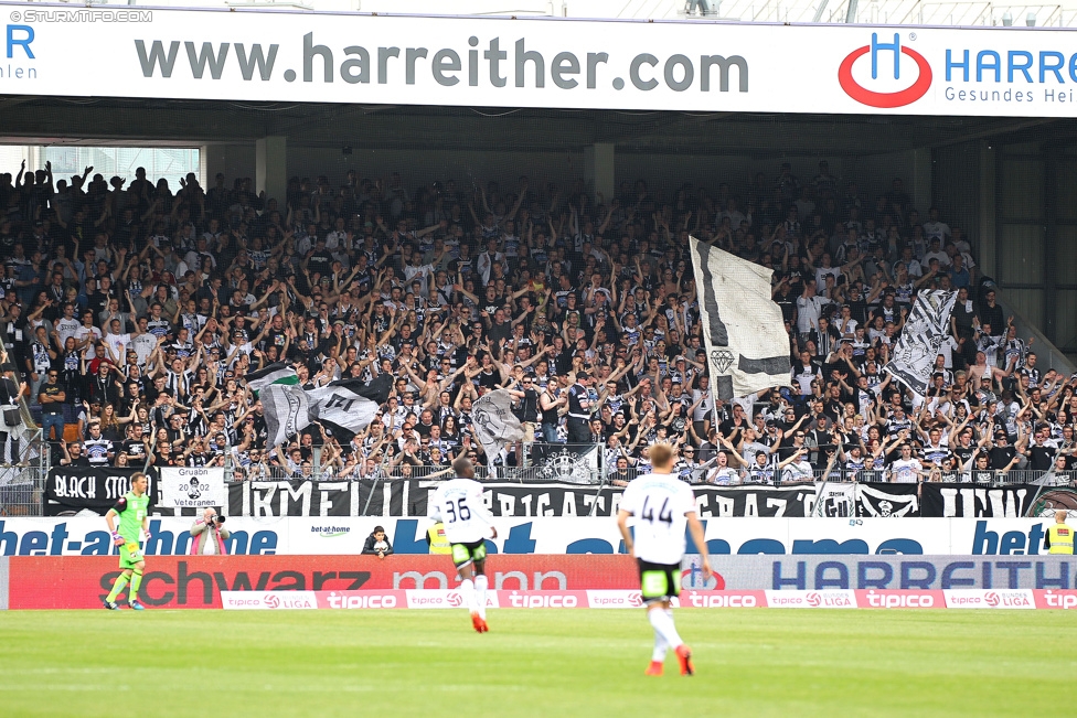 Austria Wien - Sturm Graz
Oesterreichische Fussball Bundesliga, 32. Runde, FK Austria Wien - SK Sturm Graz, Franz-Horr-Stadion Wien, 09.05.2015. 

Foto zeigt Fans von Sturm
