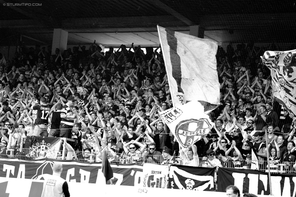 Austria Wien - Sturm Graz
Oesterreichische Fussball Bundesliga, 32. Runde, FK Austria Wien - SK Sturm Graz, Franz-Horr-Stadion Wien, 09.05.2015. 

Foto zeigt Fans von Sturm
