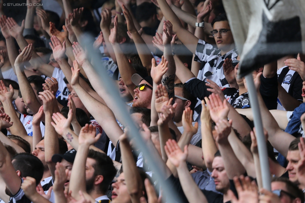 Austria Wien - Sturm Graz
Oesterreichische Fussball Bundesliga, 32. Runde, FK Austria Wien - SK Sturm Graz, Franz-Horr-Stadion Wien, 09.05.2015. 

Foto zeigt Fans von Sturm
