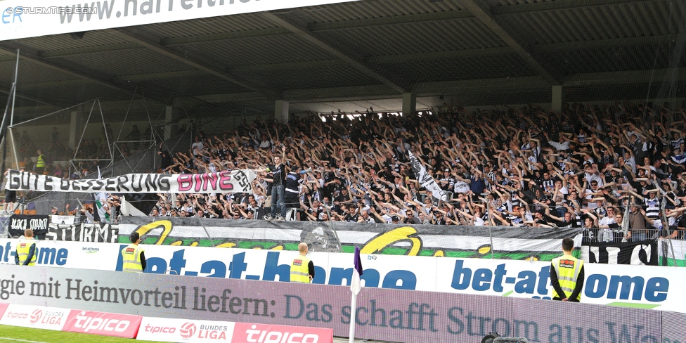 Austria Wien - Sturm Graz
Oesterreichische Fussball Bundesliga, 32. Runde, FK Austria Wien - SK Sturm Graz, Franz-Horr-Stadion Wien, 09.05.2015. 

Foto zeigt Fans von Sturm mit einem Spruchband
