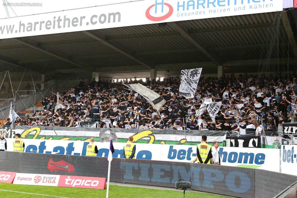 Austria Wien - Sturm Graz
Oesterreichische Fussball Bundesliga, 32. Runde, FK Austria Wien - SK Sturm Graz, Franz-Horr-Stadion Wien, 09.05.2015. 

Foto zeigt Fans von Sturm
