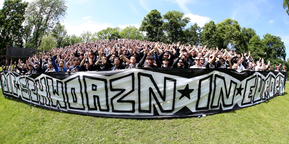 Sturm Graz - Ried
Oesterreichische Fussball Bundesliga, 36. Runde, SK Sturm Graz - SV Ried, Stadion Liebenau Graz, 31.05.2015. 

Foto zeigt Fans von Sturm im Augarten
