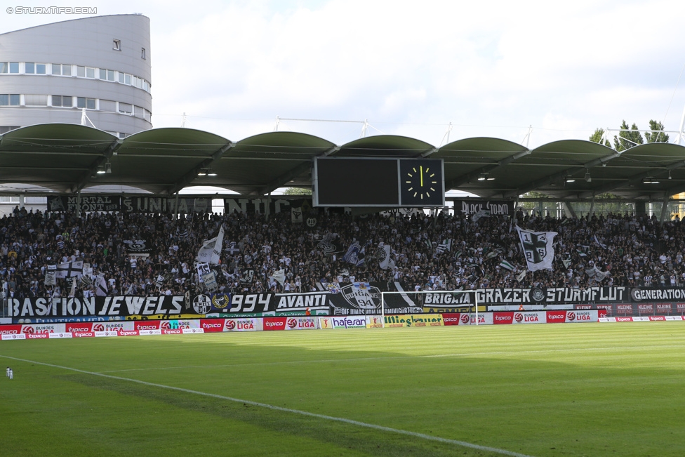 Sturm Graz - Ried
Oesterreichische Fussball Bundesliga, 36. Runde, SK Sturm Graz - SV Ried, Stadion Liebenau Graz, 31.05.2015. 

Foto zeigt Fans von Sturm
