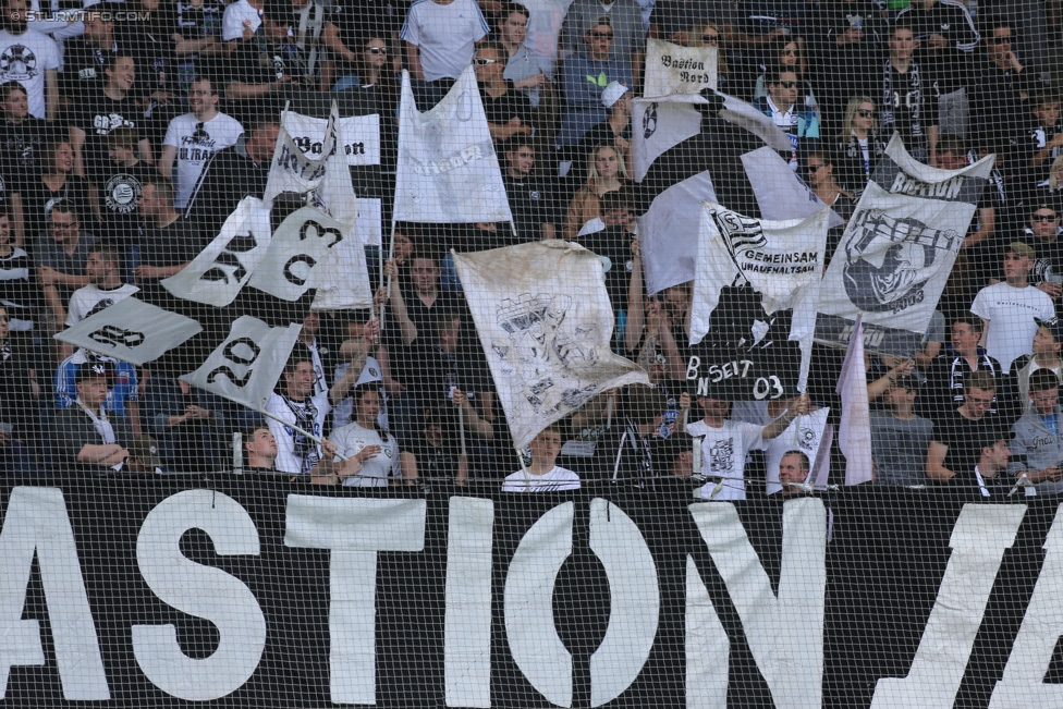 Sturm Graz - Ried
Oesterreichische Fussball Bundesliga, 36. Runde, SK Sturm Graz - SV Ried, Stadion Liebenau Graz, 31.05.2015. 

Foto zeigt Fans von Sturm
