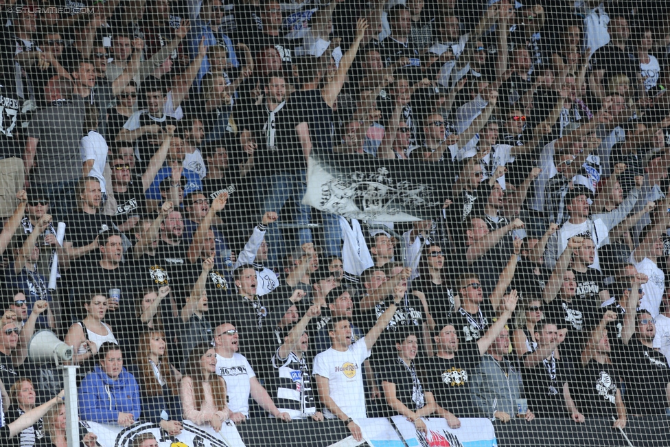 Sturm Graz - Ried
Oesterreichische Fussball Bundesliga, 36. Runde, SK Sturm Graz - SV Ried, Stadion Liebenau Graz, 31.05.2015. 

Foto zeigt Fans von Sturm
