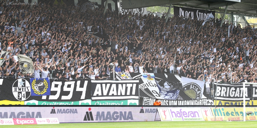 Sturm Graz - Ried
Oesterreichische Fussball Bundesliga, 36. Runde, SK Sturm Graz - SV Ried, Stadion Liebenau Graz, 31.05.2015. 

Foto zeigt Fans von Sturm
