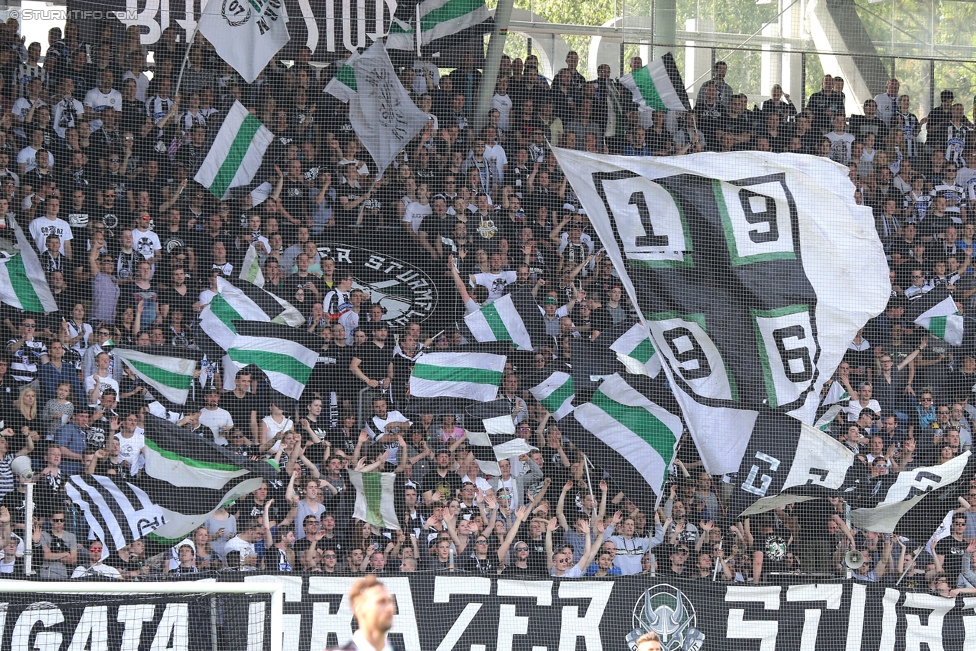 Sturm Graz - Ried
Oesterreichische Fussball Bundesliga, 36. Runde, SK Sturm Graz - SV Ried, Stadion Liebenau Graz, 31.05.2015. 

Foto zeigt Fans von Sturm
