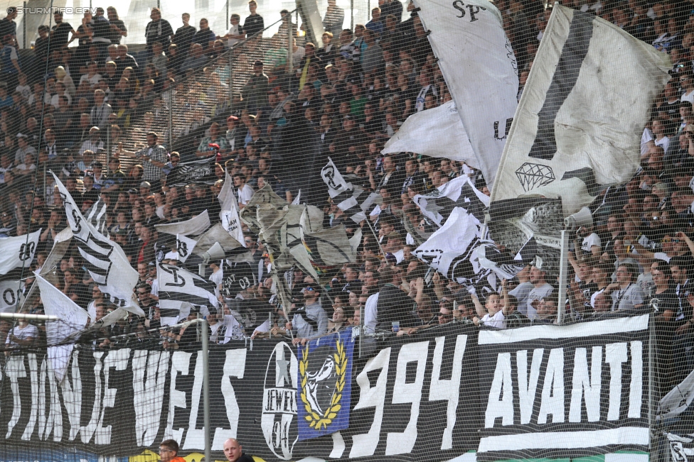 Sturm Graz - Ried
Oesterreichische Fussball Bundesliga, 36. Runde, SK Sturm Graz - SV Ried, Stadion Liebenau Graz, 31.05.2015. 

Foto zeigt Fans von Sturm
