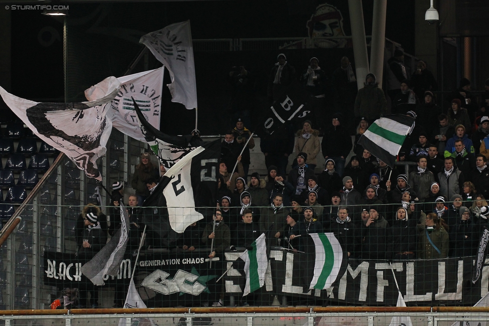 Salzburg - Sturm Graz
Oesterreichische Fussball Bundesliga, 16. Runde, RB Salzburg - SK Sturm Graz, Stadion Wals-Siebenheim, 22.11.2015. 

Foto zeigt Fans von Sturm
